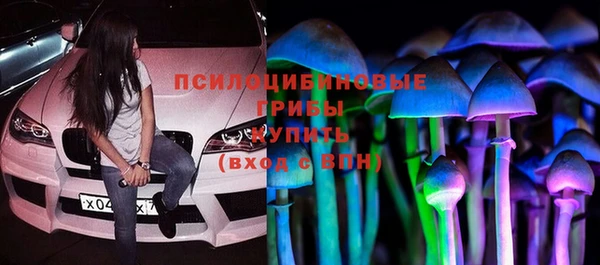 PSILOCYBIN Кукмор