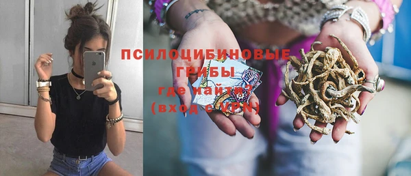 PSILOCYBIN Кукмор