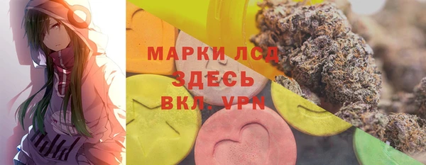 PSILOCYBIN Кукмор