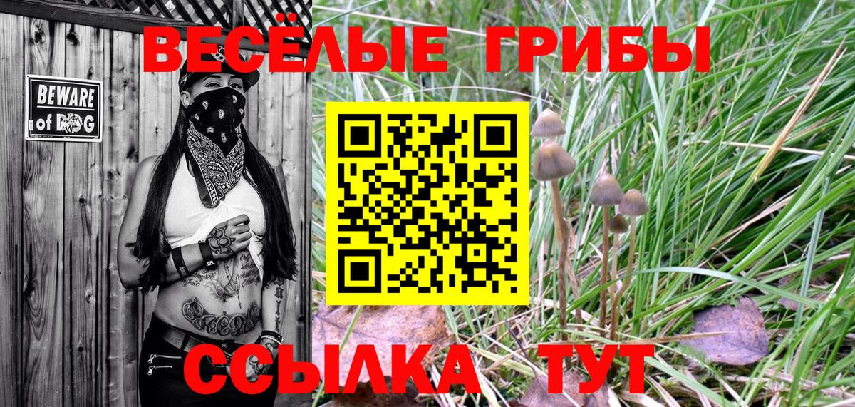 Галлюциногенные грибы Magic Shrooms Невинномысск