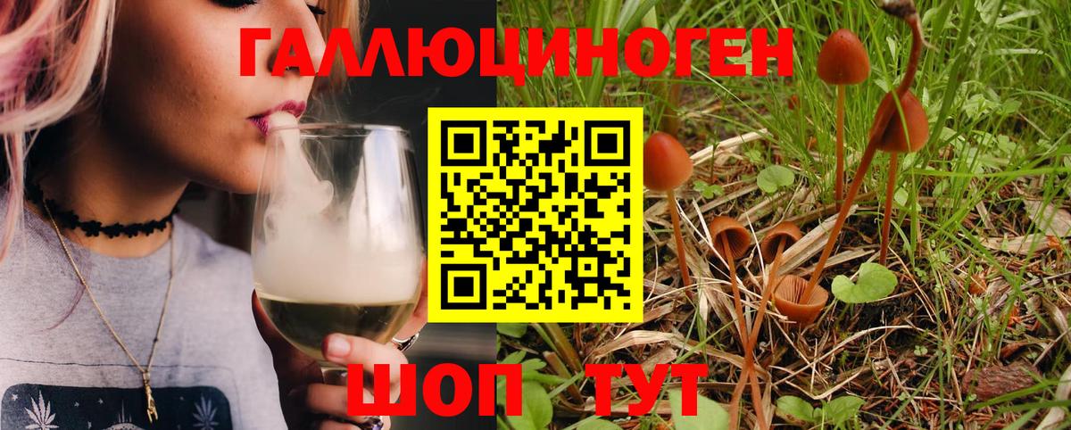 Псилоцибиновые грибы Psilocybe  Вход с VPN  Невинномысск 